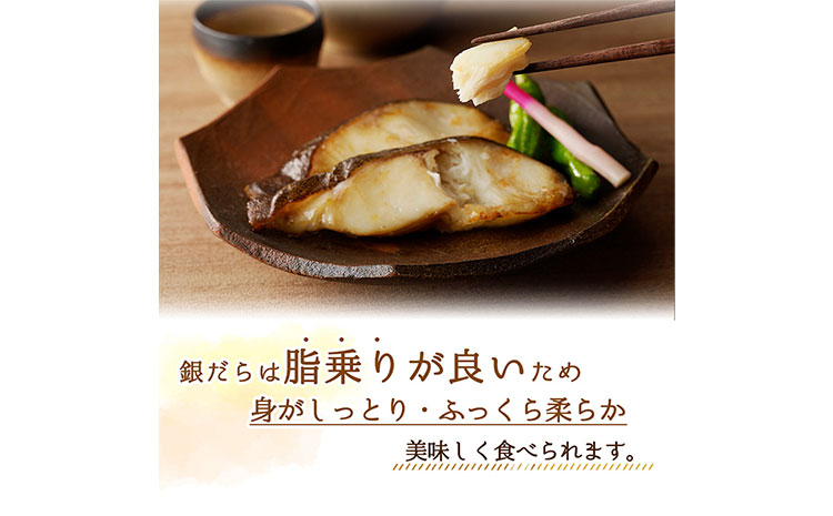 和歌山魚鶴仕込のだし漬け天然銀だら切身 銀鱈 切身 約 720g 株式会社魚鶴商店《30日以内に出荷予定(土日祝除く)》 和歌山県 日高町 銀鱈 切り身 ---wsh_fuot106_30d_25_13000_8p---