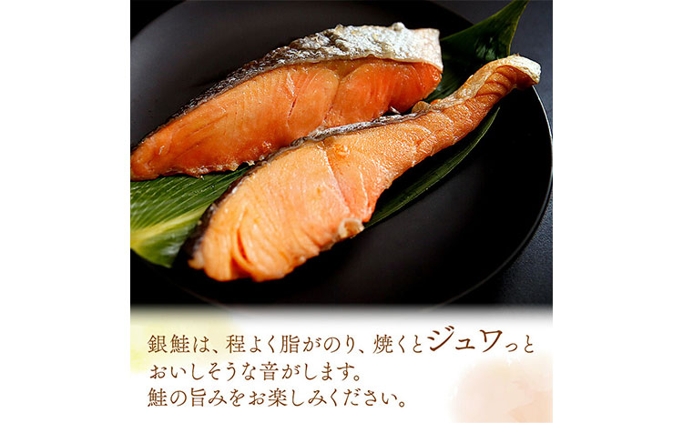 和歌山魚鶴仕込みの だし 漬け天然銀だら切身6切＆銀鮭切身6切 真空パック入 小分け 株式会社魚鶴商店《30日以内に出荷予定(土日祝除く)》 和歌山県 日高町 銀鱈 切り身 ---wsh_fuot108_30d_25_17000_12p---