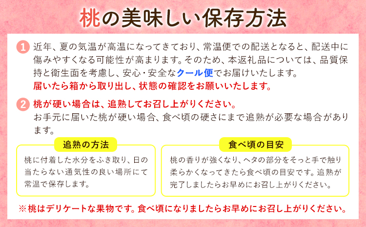 【先行予約】和歌山の厳選白桃【白鳳・清水白桃・川中島白桃 等】化粧箱入り 約4kg 池田鹿蔵農園《7月上旬-8月中旬頃出荷》【配送不可地域あり】---wsh_cidn355_7j8c_26_25000_4kg---