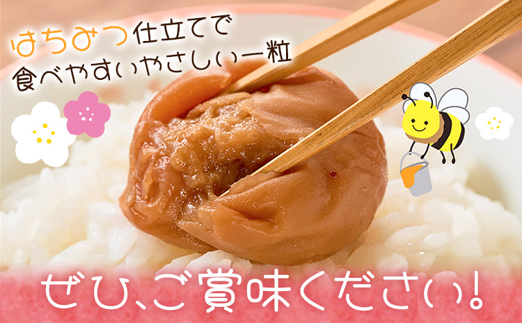 紀州南高梅 つぶれ梅 はちみつ漬 塩分8％ 1パック400g×4パック 株式会社味季屋《30日以内に出荷予定(土日祝除く)》和歌山県 日高町 梅 梅干し 南高梅 はちみつ梅---wsh_ajk7_30d_25_15000_4p---