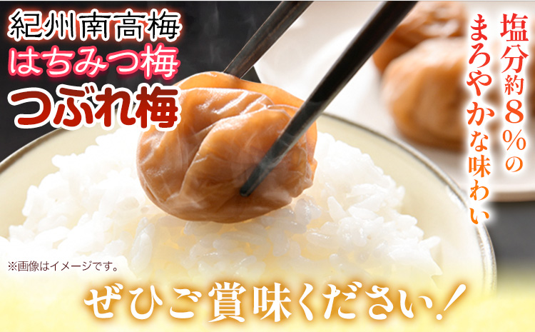 紀州南高梅 つぶれはちみつ梅2kg有限会社プラム《30日以内に出荷予定(土日祝除く)》