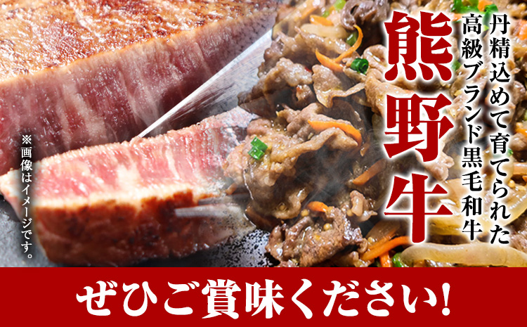 熊野牛A4以上ヒレシャトーブリアンステーキ200g&霜降り赤身こま切れ300g魚鶴商店《30日以内に出荷予定(土日祝除く)》---wsh_futshssk_30d_23_35000_500g---