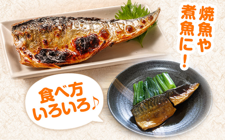 迷ったらコレ!魚鶴商店の天然紅サケ1kg&塩さばフィレ6枚セット株式会社魚鶴商店《30日以内に出荷予定(土日祝除く)》さば鯖鮭---wsh_futstsksf_30d_25_23000_set---