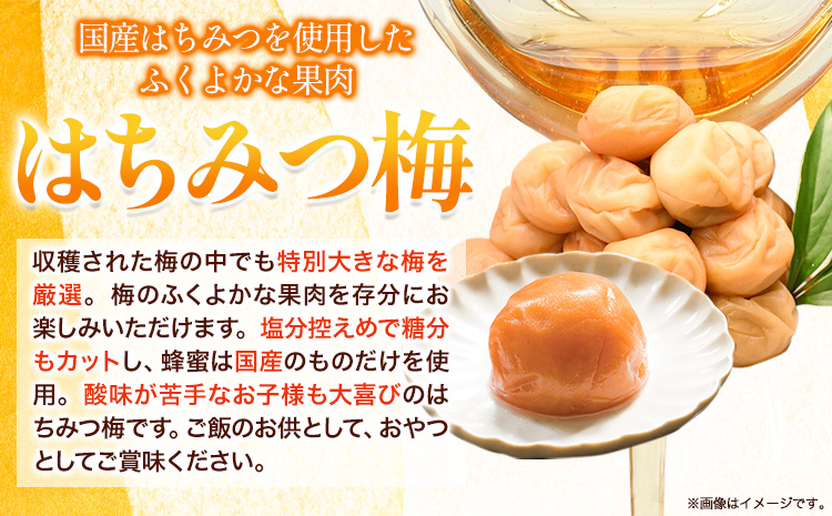 高級南高梅はちみつ梅・しそ漬梅計800g(各400g)網代模様仕上紀州塗箱入り澤株式会社《90日以内に出荷予定(土日祝除く)》梅干し---wsh_swa14_90d_25_20000_800g---