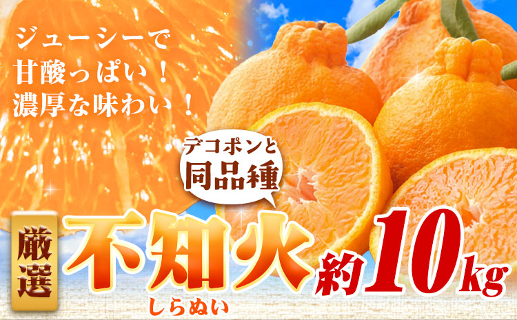 厳選 不知火 約10kg+250g（傷み補償分）【デコポンと同品種・人気の春みかん】池田鹿蔵農園@日高町《2月上旬-3月末頃出荷》【配送不可地域あり】---wsh_idn347_2j3m_25_30000_10kg---