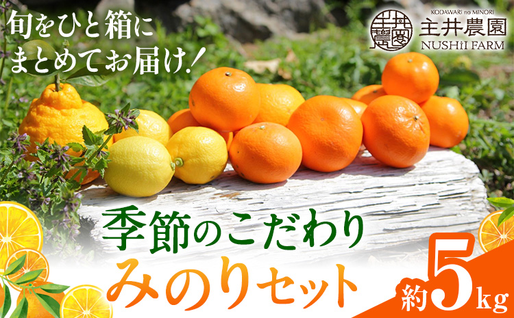 主井農園の季節のこだわりみのりセット 約5kg 主井農園《2月中旬-4月下旬頃出荷予定》 和歌山県 日高町 柑橘 みかん オレンジ せとか 清見オレンジ たまみ 不知火 デコポン 八朔 レモン 果物 フルーツ 詰合せ セット 送料無料---wsh_syi55_2c4g_25_19000_5kg---