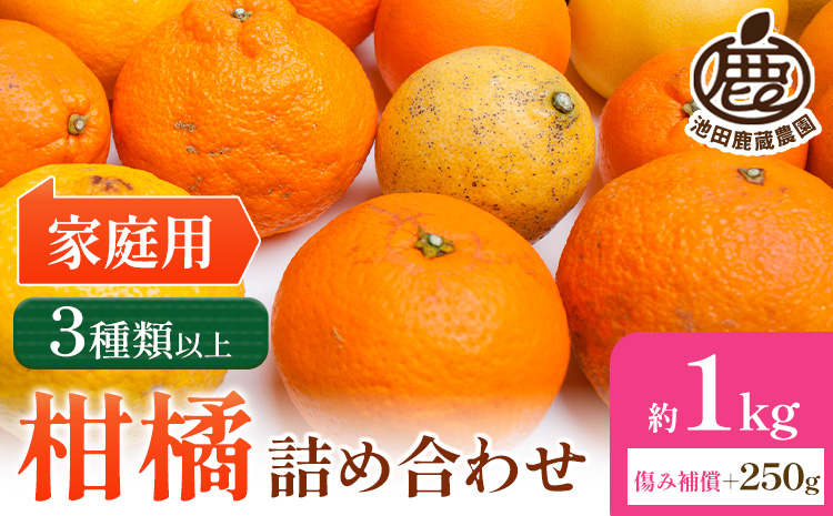 【先行予約】家庭用 柑橘詰合せ 約1kg＋250g (傷み補償分) 3種類以上 有田の春みかん詰め合わせ 光センサー選別 池田鹿蔵農園 《2026年1月上旬-4月末頃出荷》 和歌山県 日高町 【配送不可地域あり】---wsh_idn305_1j4m_25_7000_1kg---