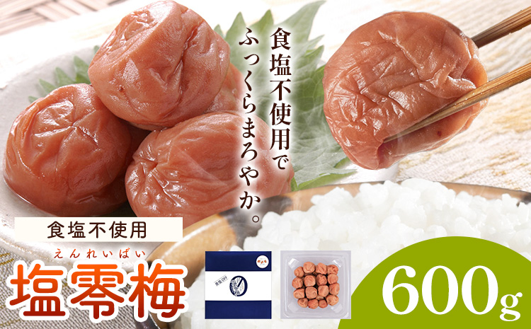 塩零梅 梅干し 紀州南高梅 食塩不使用 有限会社プラム 600g 《30日以内に出荷予定(土日祝除く)》和歌山県 日高町 送料無料 梅 うめ ウメ 南高梅 紀州---wsh_plm14_30d_25_10000_600g---