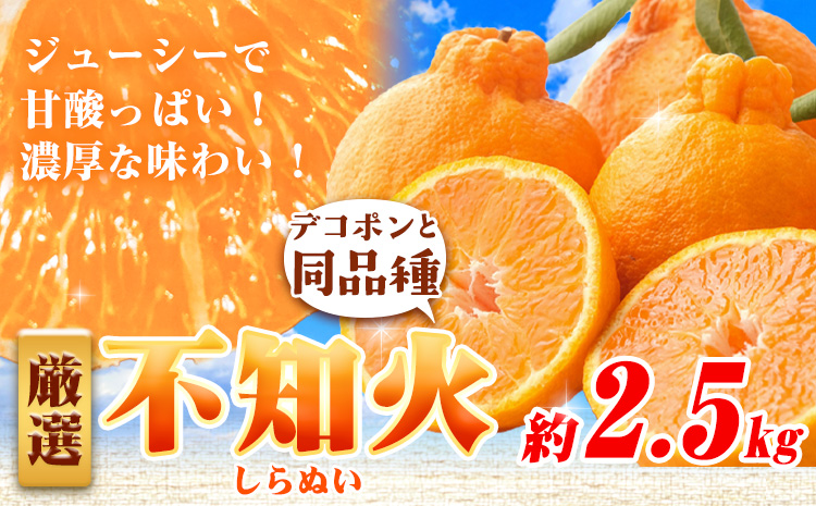 プリッと濃厚!!旬を厳選 不知火 デコポン 同品種 みかん 約2.5kg+250g（傷み補償） 池田鹿蔵農園 《2026年2月上旬-3月末頃より出荷予定》和歌山県 日高町 送料無料 しらぬい でこぽん 濃厚 厳選みかん 厳選デコポン 傷み補償分付き【配送不可地域あり】---wsh_idn331_2j3m_25_12000_2500g---