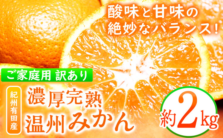 【先行予約】【ご家庭用訳アリ】 紀州有田産 濃厚完熟温州みかん 約2kg 魚鶴商店《2026年11月下旬-2027年1月下旬頃出荷》 和歌山県 日高町 みかん 温州みかん 完熟 濃厚 柑橘 ご家庭用 ---wsh_uot212_11g1g_25_6000_2kg---