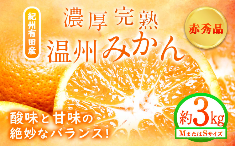 【先行予約】赤秀品 紀州有田産 濃厚完熟温州みかん 約3kg (MサイズまたはSサイズ) 魚鶴商店《2026年11月下旬〜2027年1月下旬頃出荷予定》和歌山県 日高町 みかん ミカン 蜜柑 フルーツ 柑橘---wsh_uot156_11g1g_25_12000_3kg---st-p