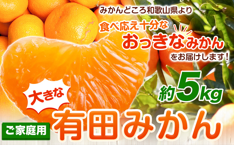 ＜先行予約＞家庭用　大きな有田みかん5kg+250g（傷み補償分）【わけあり・訳あり】【光センサー選果】 池田鹿蔵農園@日高町（池田農園株式会社）《11月中旬-1月下旬頃出荷》和歌山県 日高町---wsh_idn275_11c1g_25_9000_5kg---