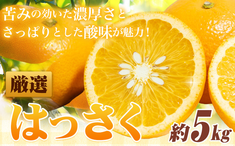 ＜1月より発送＞ 厳選 はっさく 5kg+250g（傷み補償分） 池田鹿蔵農園 日高町 《2026年1月上旬-3月末頃出荷》和歌山県 日高町 送料無料 はっさくみかん 八朔 はっさく ギフト【配送不可地域あり】---wsh_idn316_1j3m_25_13000_5kg---