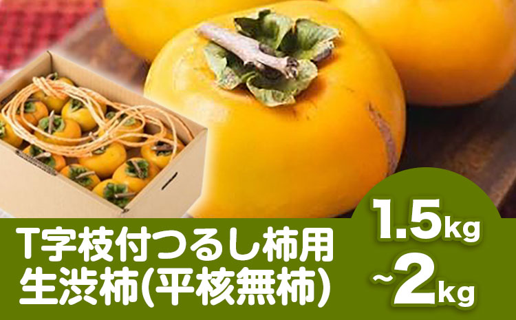 【2026年先行予約】T字枝付つるし柿用生渋柿 1.5〜2kg ふるさと農園《2026年10月中旬～11月上旬頃発送予定》---wsh_fsn1_10c11j_25_12000_2kg---