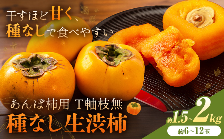【2026年先行予約】柿 かき あんぽ柿用 T軸枝無 種なし 生渋柿 1.5~2kg ふるさと農園《10月中旬-11月上旬頃より発送予定(土日祝除く)》 和歌山県 日高町 贈り物 ギフトｰｰｰwsh_fsn15_10c11j_25_11000_612---