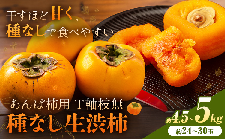 【2026年先行予約】柿 かき あんぽ柿用 T軸枝無 種なし 生渋柿 4.5~5kg ふるさと農園《10月中旬-11月上旬頃より発送予定(土日祝除く)》 和歌山県 日高町 贈り物 ギフトｰｰｰwsh_fsn16_10c11j_25_16000_2430---