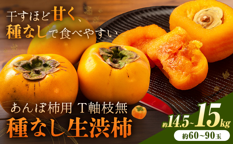【2026年先行予約】柿 かき あんぽ柿用 T軸枝無 種なし 生渋柿 14.5~15kg ふるさと農園《10月中旬-11月上旬頃より発送予定(土日祝除く)》 和歌山県 日高町 贈り物 ギフトｰｰｰwsh_fsn17_10c11j_25_40000_6090---