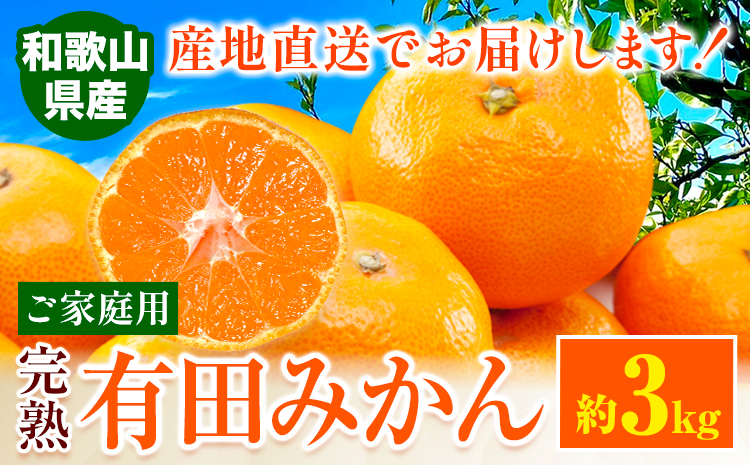 【先行予約】みかん ご 家庭用 完熟 有田みかん 約 3kg 有田マルシェ《11月上旬-1１月下旬頃出荷頃出荷》和歌山県 日高町 みかん 有田みかん 柑橘 フルーツ 完熟 訳あり みかん 蜜柑 ミカン 柑橘---wsh_arm71_11j11g_25_8000_3kg---