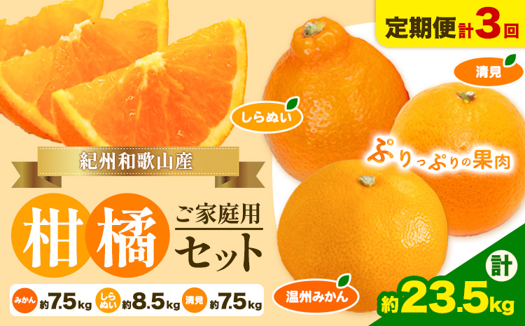 【発送月固定定期便】紀州 和歌山産 旬の ご家庭用 柑橘 セット (みかん 不知火 清見)【全３回】 計23.5kg 魚鶴商店《1月上旬-3月末頃出荷予定(土日祝除く)》 和歌山県 日高町 みかん 不知火 清見 オレンジ 柑橘 蜜柑 果物 フルーツ 訳あり ギフト 送料無料 定期便---wsh_uot123tei_25_51000_mo3num1---