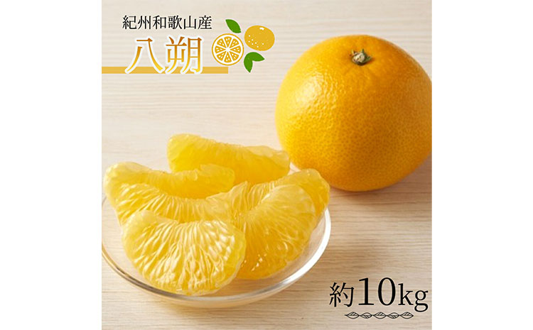 紀州和歌山産 八朔 (はっさく) 約10kg 魚鶴商店【2026年出荷分】《2026年3月上旬-3月中旬より発送予定(土日祝除く)》はっさく 和歌山県 日高町 贈り物 ギフト 八朔 柑橘---wsh_uot99_3j3c_25_17000_10kg---