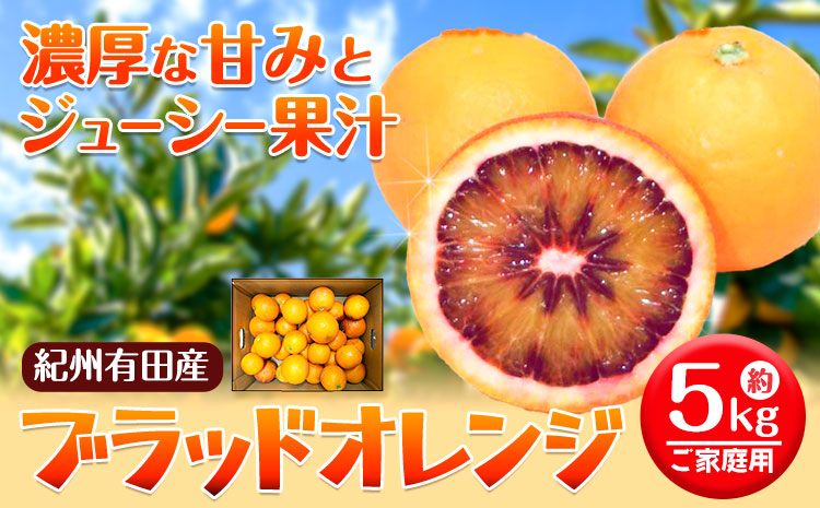 ＜先行予約＞紀州有田産ブラッド オレンジ 約 5kg【ご家庭用】 魚鶴商店《2026年3月上旬-3月下旬頃出荷》 和歌山県 日高町 紀州有田産 オレンジ みかん ご家庭用---wsh_uot133_3j3g_25_21000_5kg---