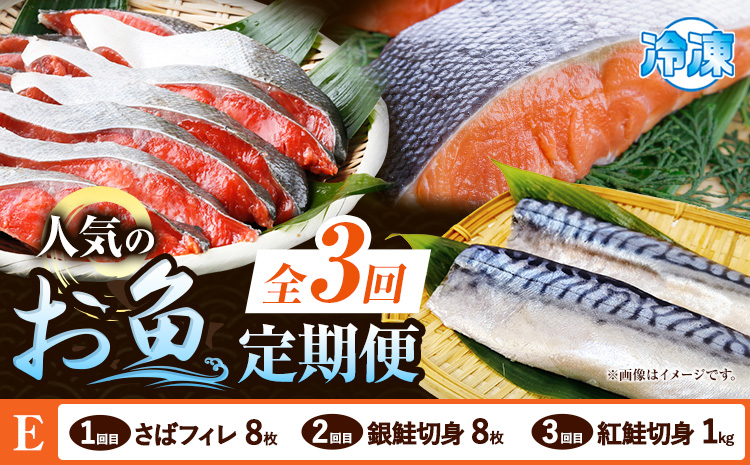 【定期便 全3回】 E サバフィレ 8枚 銀鮭切身 8枚 紅鮭切身 1kg 株式会社魚鶴商店《お申し込み月の翌月より出荷開始》和歌山県 日高町 鮭 さけ 紅さけ 切り身 さば 塩さば 焼き魚 焼くだけ 簡単 魚 さかな---wsh_uotteie2_25_35000_mo3num1---