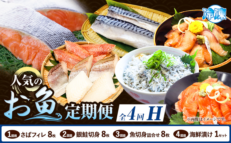 【定期便 全4回】 H サバフィレ 8枚 銀鮭切身 8枚 魚切り身詰合せ 8枚 海鮮漬け 1セット 株式会社魚鶴商店《お申し込み月の翌月より出荷開始》 和歌山県 日高町 鮭 さけ 紅さけ 切り身 さば 塩さば 焼き魚 焼くだけ 簡単 魚 さかな タラ サーモン カンパチしらす---wsh_uotteih_25_39000_mo4num1---