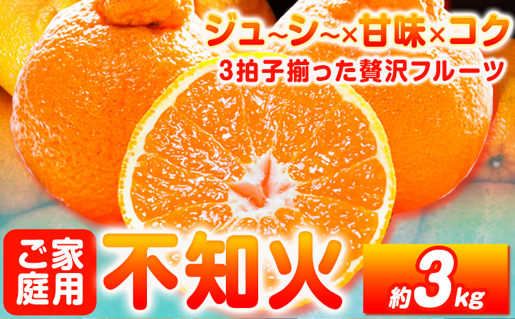 【ご家庭用】紀州有田産 不知火 ( しらぬひ ) 約3kg 魚鶴商店 《2月中旬-3月中旬頃出荷》 和歌山県 日高町 不知火 柑橘 果物 フルーツ デコポンと同品種 訳あり不知火 訳ありデコポン 訳あり 送料無料---wsh_uot118_2c3c_25_10000_3kg---