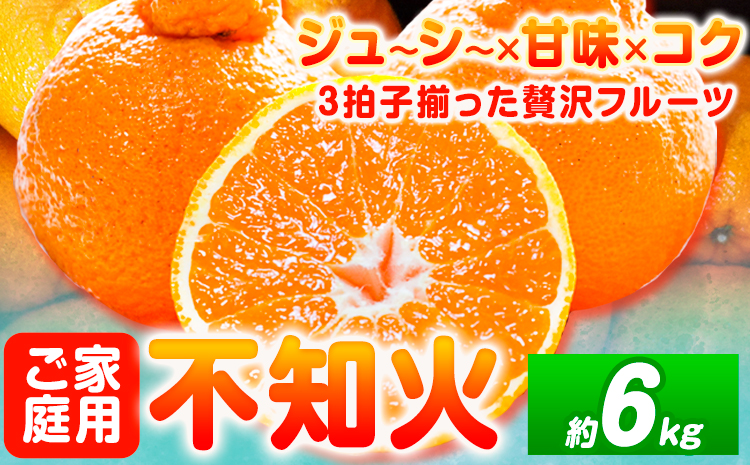 【ご家庭用】紀州有田産 不知火 ( しらぬひ ) 約6kg 魚鶴商店 《2026年2月中旬-3月中旬頃出荷》 和歌山県 日高町 不知火 柑橘 果物 フルーツ デコポンと同品種 訳あり不知火 訳ありデコポン 訳あり 送料無料---wsh_uot119_2c3c_25_15000_6kg---