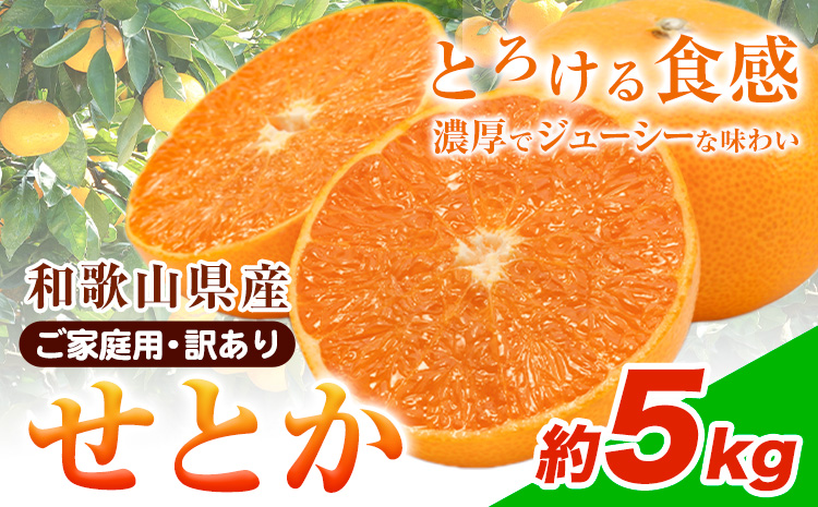 【先行予約】【家庭用 訳あり】とろける食感!ジューシー柑橘 せとか 約 5kg 魚鶴商店 《2026年2月上旬-3月中旬頃出荷》 和歌山県 日高町 みかん 柑橘 果物 フルーツ 送料無料---wsh_uot115_2j3c_25_21000_5kg---