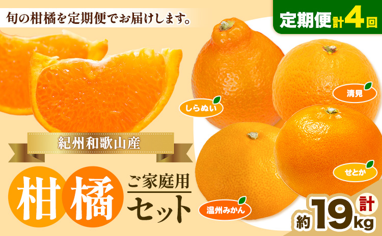 【発送月固定定期便】紀州 和歌山産 旬の ご家庭用 柑橘 セット (みかん 不知火 せとか 清見)【全4回】 計19kg 魚鶴商店《1月上旬-5月上旬頃出荷》 和歌山県 日高町 みかん 不知火 清見 オレンジ 柑橘 蜜柑 果物 訳あり 送料無料 定期便---wsh_uotteik8_25_48000_mo4num1---