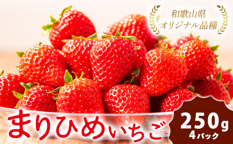 【先行予約】紀州和歌山県ブランドいちご「まりひめ」約250g×4パック 計1kg 株式会社魚鶴商店《2026年3月上旬-3月下旬頃出荷》和歌山県 日高町 いちご 苺 まりひめ フルーツ 果物 スイーツ 送料無料 ---wsh_cuot101_3j3g_25_18000_4p---