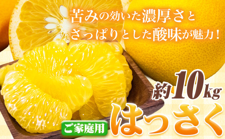 ご家庭用 訳あり はっさく 八朔 みかん 10kg +250g 池田鹿蔵農園 日高町《1月上旬-3月末頃出荷》和歌山県 日高町 送料無料 はっさくみかん 八朔 訳ありはっさく【配送不可地域あり】---wsh_idn344_1j3m_25_14000_10kg---