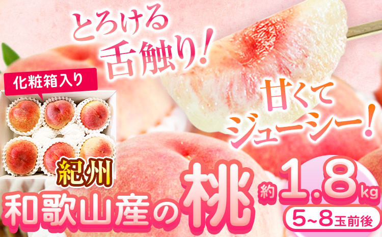 紀州和歌山産の桃約1.8kg5～8玉化粧箱入魚鶴商店《2026年6月下旬-8月上旬より発送予定》 桃モモもも桃白桃---wsh_cuot160_6g8j_25_17000_18g---｜ あかつき桃白鳳桃日川白鳳桃八旗白鳳桃桃清水白桃桃川中島白桃つきあかり桃清水白桃桃白鳳桃日川白鳳桃八旗白鳳桃桃清水白桃桃川中島白桃つきあかり桃清水白桃桃川中島白桃桃和歌山の桃白桃桃桃和歌山の桃白桃桃清水白桃桃川中島白桃