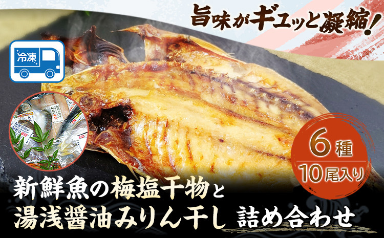 新鮮魚の梅塩干物と湯浅醤油みりん干し6品種10尾入りの詰め合わせ(和歌山近海産の新鮮魚使用)《90日以内に出荷予定(土日祝除く)》---wsh_fgenhset6_90d_22_14000---