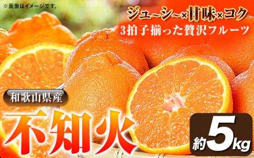 【先行予約】紀州有田産不知火(しらぬひ)約5kg株式会社魚鶴商店《2026年2月上旬-3月中旬頃出荷》不知火しらぬい柑橘---wsh_uot117_2c3c_25_15000_5kg---