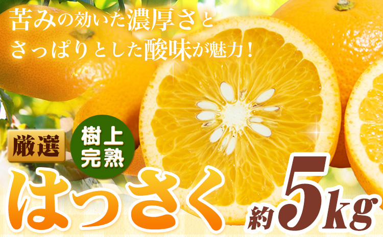 厳選 樹上完熟 はっさく 八朔 みかん 5kg＋250g 傷み補償分 池田鹿蔵農園 @日高町《4月上旬-5月末頃出荷》和歌山県 日高町 送料無料 はっさくみかん ハッサク 厳選八朔みかん【配送不可地域あり】---wsh_idn321_4j5m_25_13000_5kg---