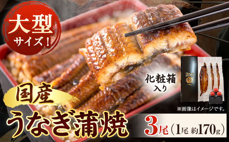 大型サイズふっくら柔らか国産うなぎ蒲焼き3尾化粧箱入魚鶴商店《30日以内に出荷予定(土日祝除く)》うなぎ鰻蒲焼き国産使用---wsh_fuot196_30d_25_28000_3p---