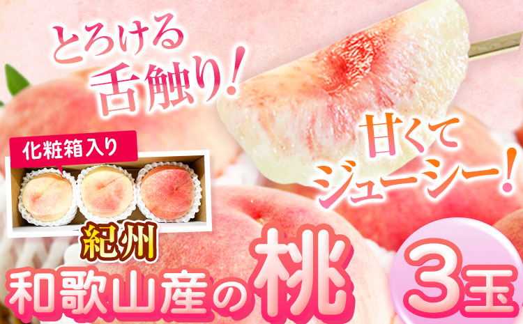 紀州和歌山産の桃3玉化粧箱入魚鶴商店《2026年6月下旬-8月上旬より発送予定》 モモ---wsh_cuot157_6g8j_25_9000_3t---｜ あかつき桃白鳳桃日川白鳳桃八旗白鳳桃桃清水白桃桃川中島白桃つきあかり桃清水白桃桃白鳳桃日川白鳳桃八旗白鳳桃桃清水白桃桃川中島白桃つきあかり桃清水白桃桃川中島白桃桃和歌山の桃白桃桃桃和歌山の桃白桃桃清水白桃桃川中島白桃桃桃和歌山の桃白桃桃st-p