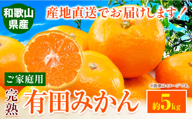 【先行予約】みかんご家庭用完熟有田みかん約5kg有田マルシェ《11月上旬-1１月下旬頃出荷》みかん有田みかん柑橘フルーツ完熟訳ありみかん蜜柑ミカン柑橘---wsh_arm72_11j11g_25_11000_5kg---