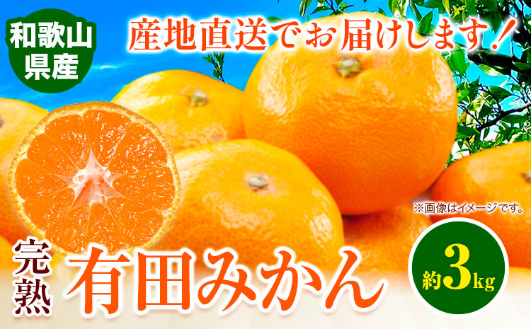 みかん完熟有田みかん約3kg有田マルシェ《11月中旬-1月上旬頃出荷予定》みかん有田みかん柑橘フルーツ完熟ミカン蜜柑---wsh_arm104_11c1j_25_8000_3kg---