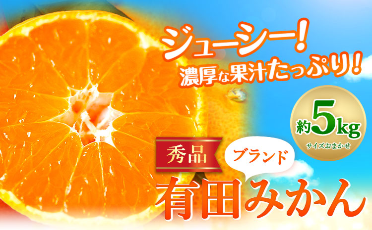 【先行予約】有田みかん秀品5kg(サイズおまかせ)とち亀物産紀伊国屋文左衛門本舗《10月中旬-1月中頃出荷》フルーツ---wsh_ttk23_10c1c_25_16000_5kg---