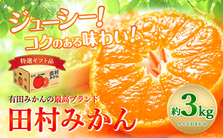先行予約 田村みかん 特選ギフト品赤秀3kg(サイズおまかせ)とち亀物産紀伊国屋文左衛門本舗《11月下旬-1月中旬頃出荷》有田みかんみかん果物---wsh_ttk22_11g1c_25_15000_3kg---