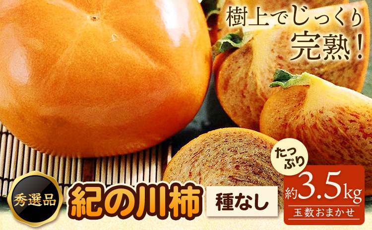 希少紀の川柿約3.5kg（種無し）【2026年先行予約】秀選品(玉数おまかせ)厳選館《2026年11月上旬-11月中旬頃出荷》柿カキジューシーフルーツ---wsh_gsk167_11j11c_25_19000_4kg---