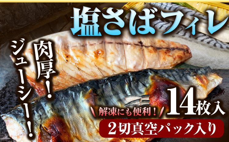 塩さばフィレ14枚入(真空パック入)魚鶴商店《30日以内に出荷予定(土日祝除く)》さば塩サバ鯖---wsh_futssbf_30d_25_21000_14p---