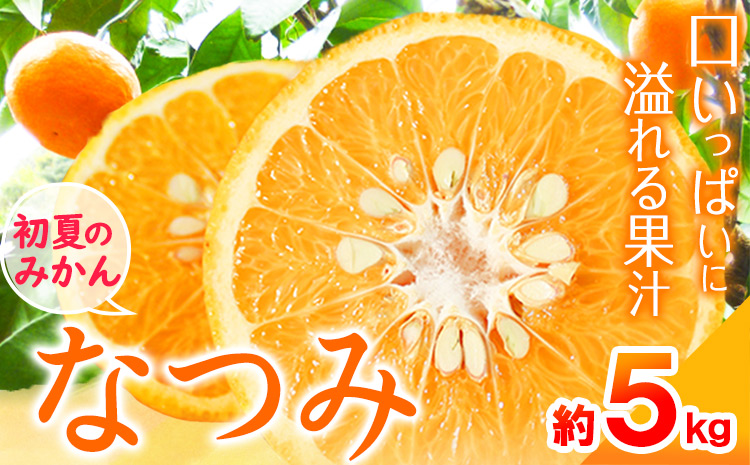 ＜先行予約＞初夏のみかんなつみ5kg株式会社魚鶴商店《2026年4月中旬-4月下旬頃出荷》みかんなつみ南津海柑橘果物フルーツ---wsh_uot139_4c4g_25_14000_5kg---