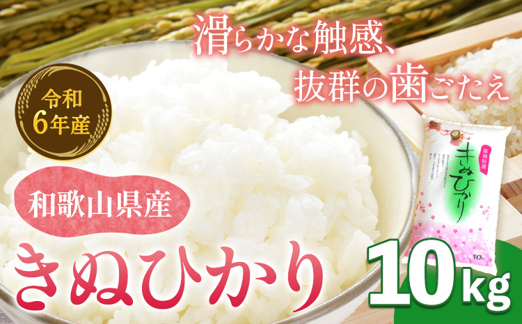 令和6年産 きぬひかり 10kg 新米 スマイル [9月中旬-2月上旬出荷] 和歌山県 日高町 米 こめ コメ お米 10kg きぬひかり キヌヒカリ 送料無料---wsh_sml18_9c2j_24_20000_10kg---