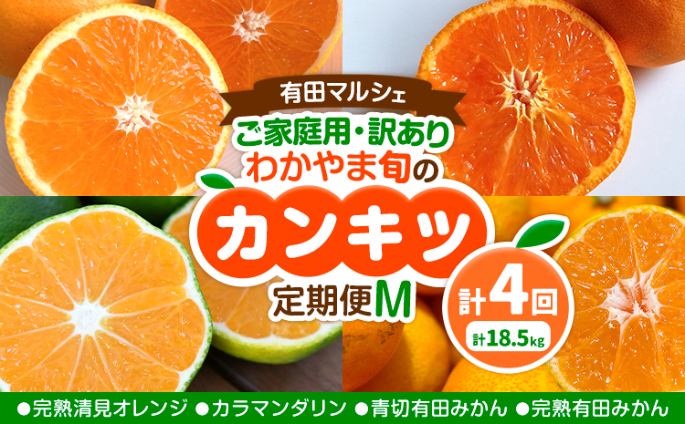 ご家庭用・訳あり わかやま旬のカンキツ定期便[M] 全4回 合計18.5kg 有田マルシェ[発送月固定・全4回出荷]和歌山県 日高町 フルーツ 果物 柑橘 ご家庭用 訳あり 有田みかん 清見オレンジ カラマンダリン 完熟 青切---wsh_armmtei_24_40000_91134y4---