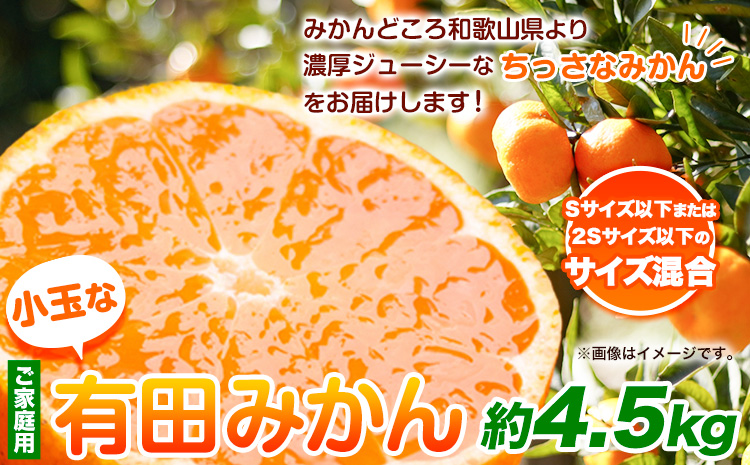 [先行予約]家庭用 小玉な有田みかん4.5kg+135g(傷み補償分)[わけあり・訳あり][光センサー選果]池田鹿蔵農園@日高町(池田農園株式会社)[11月上旬-12月下旬頃出荷]和歌山県 日高町[配送不可地域あり]---wsh_idn48_11j12m_24_10000_4500g---