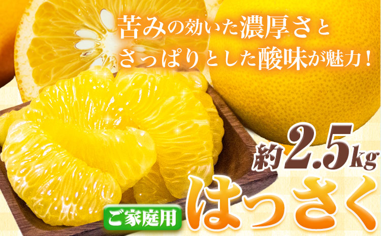 [1月より発送]ご家庭用 訳あり はっさく 八朔 みかん 約2.5kg+250g(傷み補償) 池田鹿蔵農園 日高町[2026年1月上旬-3月末頃出荷]和歌山県 日高町 送料無料 はっさくみかん 八朔 訳ありはっさく[配送不可地域あり]---wsh_idn317_1j3m_25_8000_2500g---